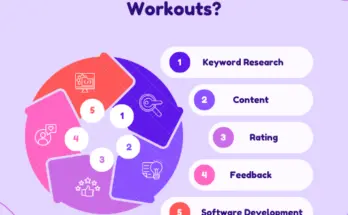 What are the SEO workouts?